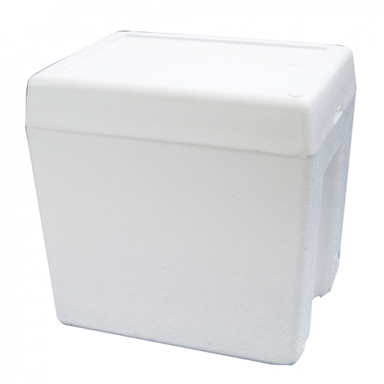 Nevera Foam Mediana 20 Lt